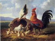 unknow artist Cocks 158 oil painting picture wholesale